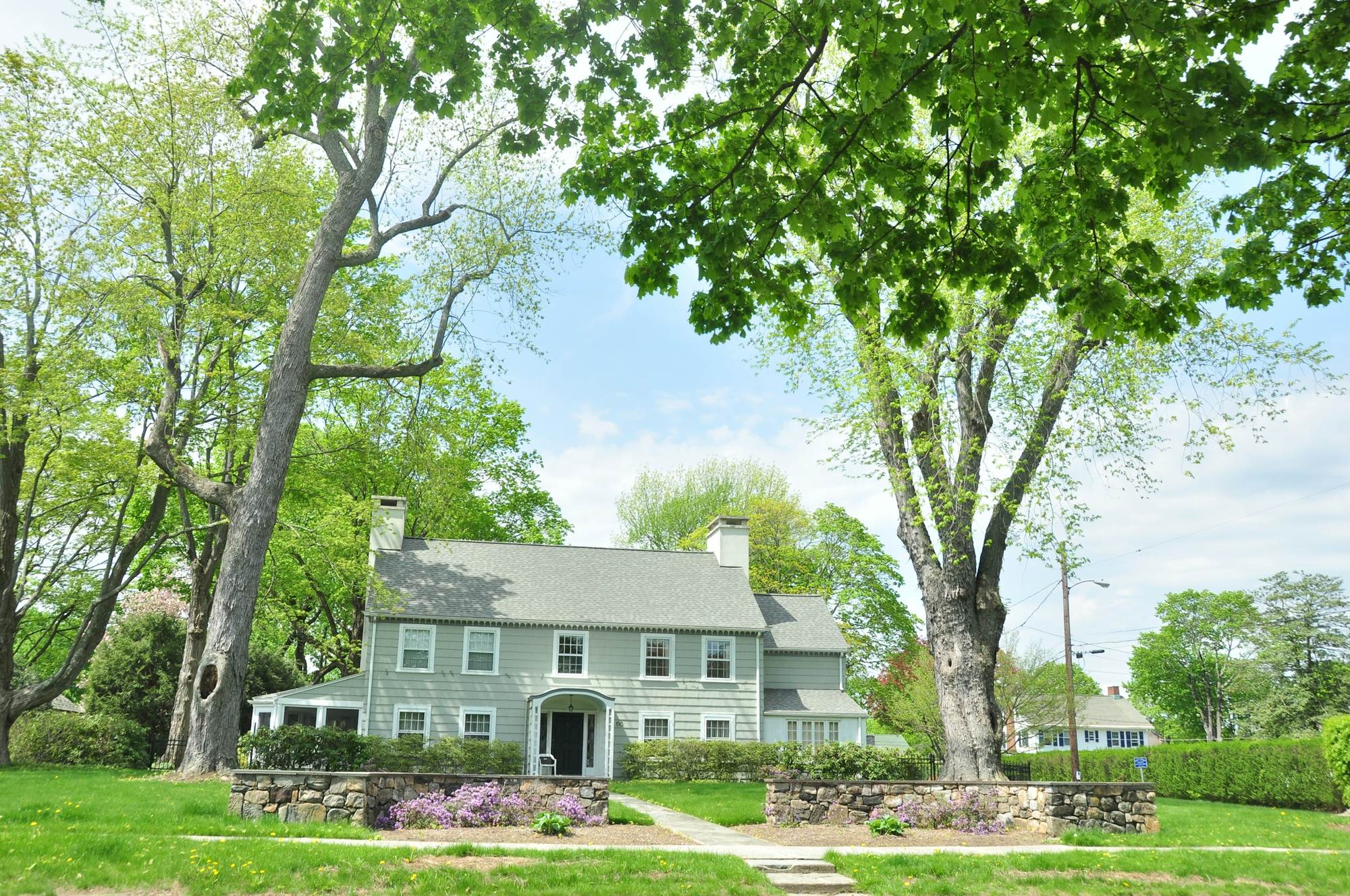 A stately home under mature trees